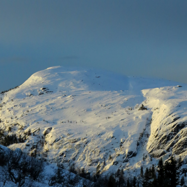 vassfarfjellet, flå