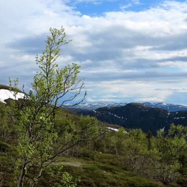 view