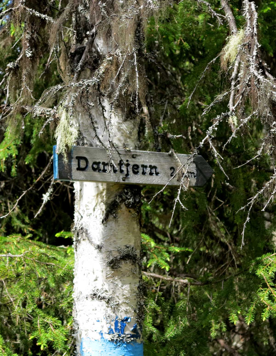 Damtjern 2km