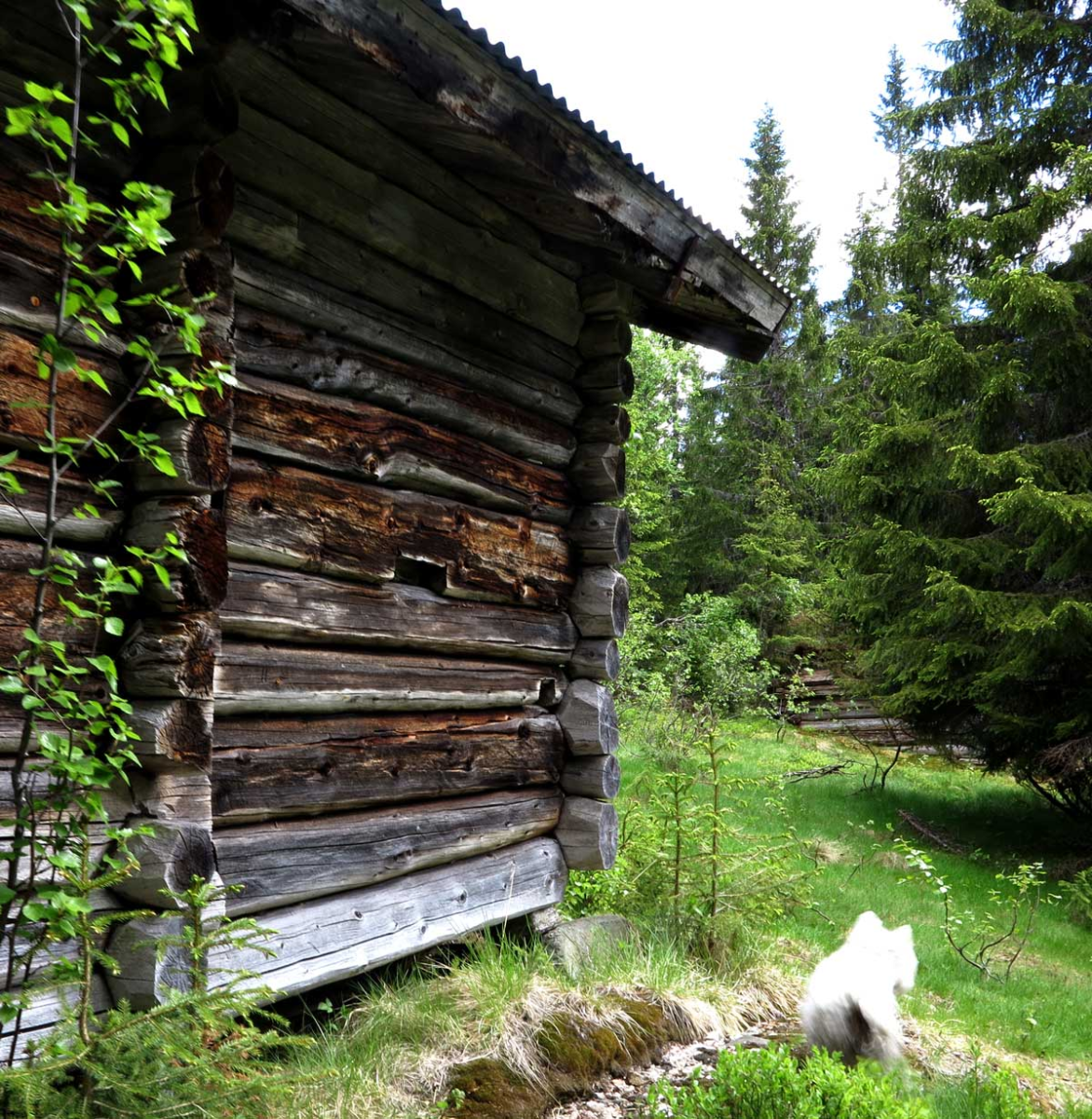 Olasætran / Olaseter / Olasetrene