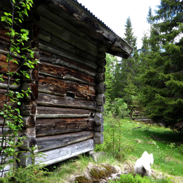 Olasætran / Olaseter / Olasetrene