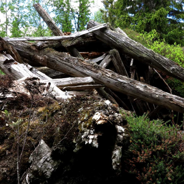 nature taking back