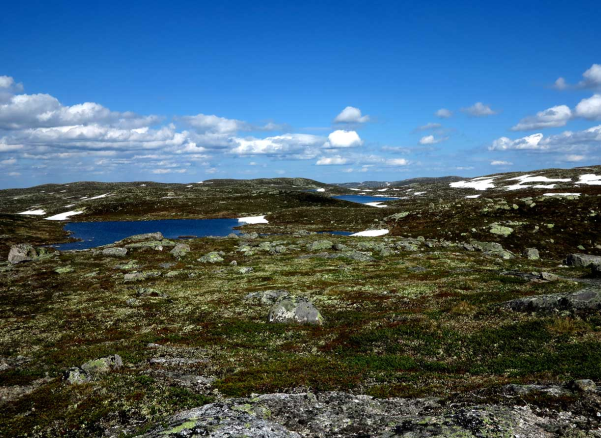 heather and highlands
