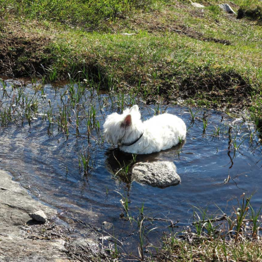 mudbath!
