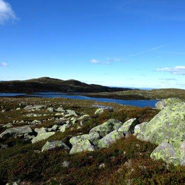 vassfarfjellet