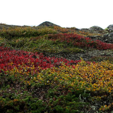 vassfarfjellet
