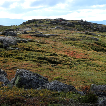 vassfarfjellet