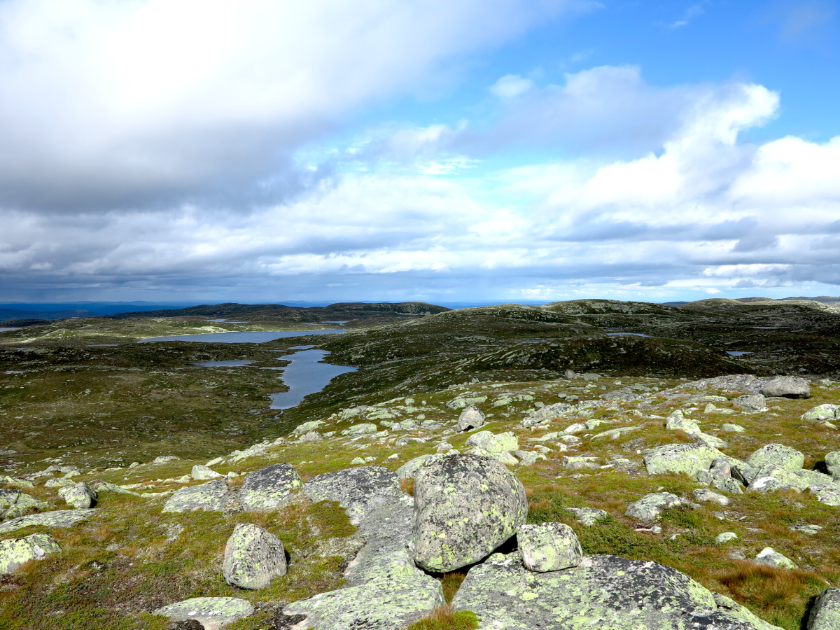 view