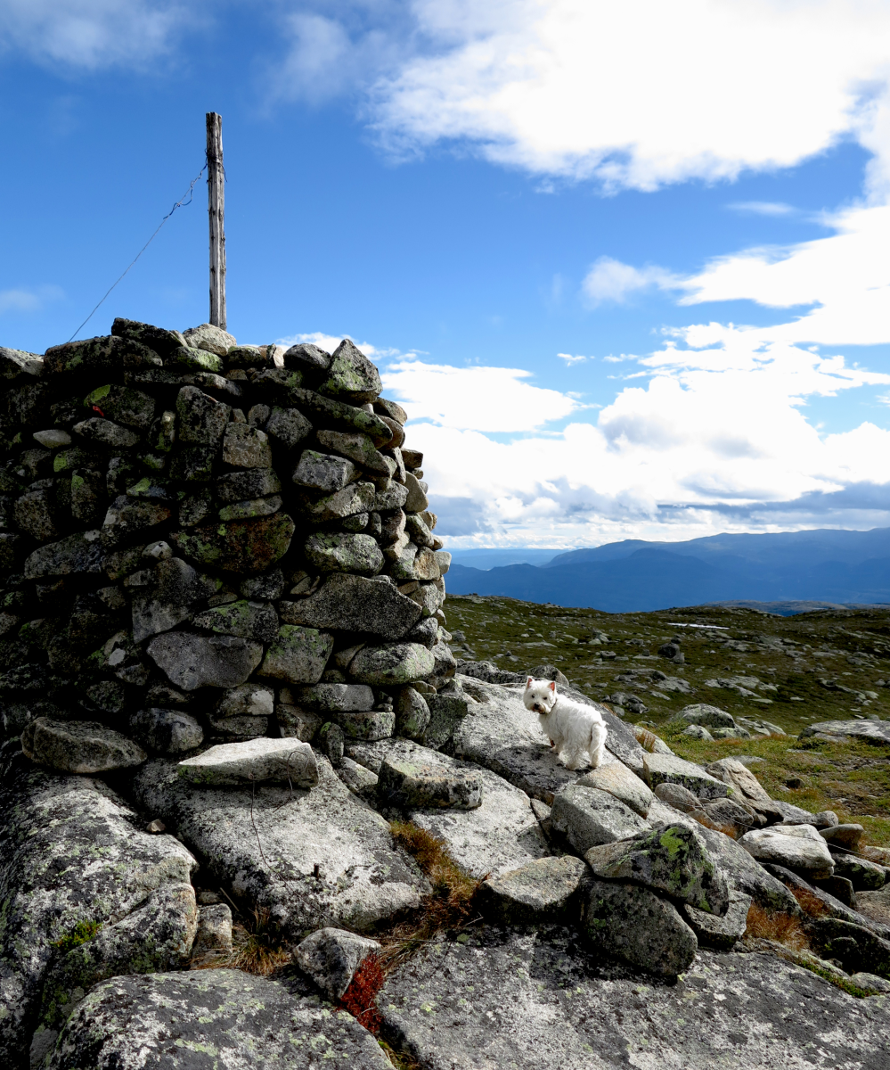 benchmark