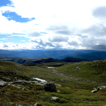 view
