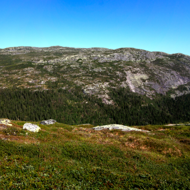 home – to – sørbølnatten