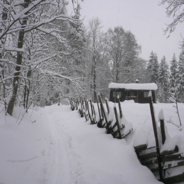 winter at the cabin