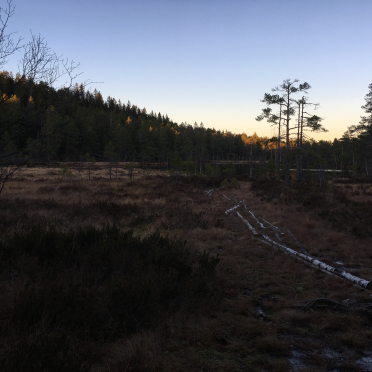vardåsen