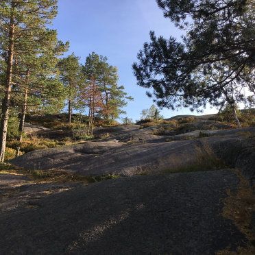 vardåsen