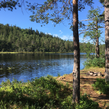 vardåsen