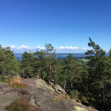 vardåsen