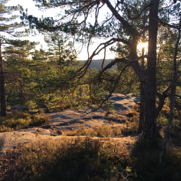 low sun