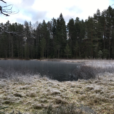 ice