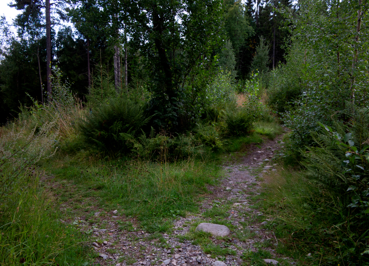 two paths