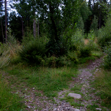 two paths