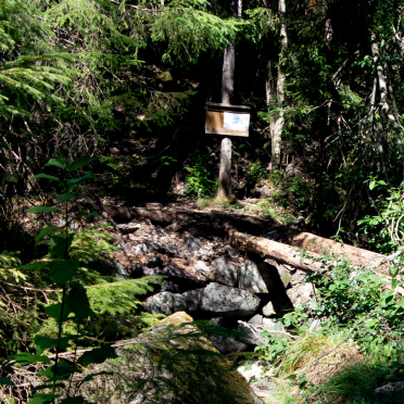 bridge