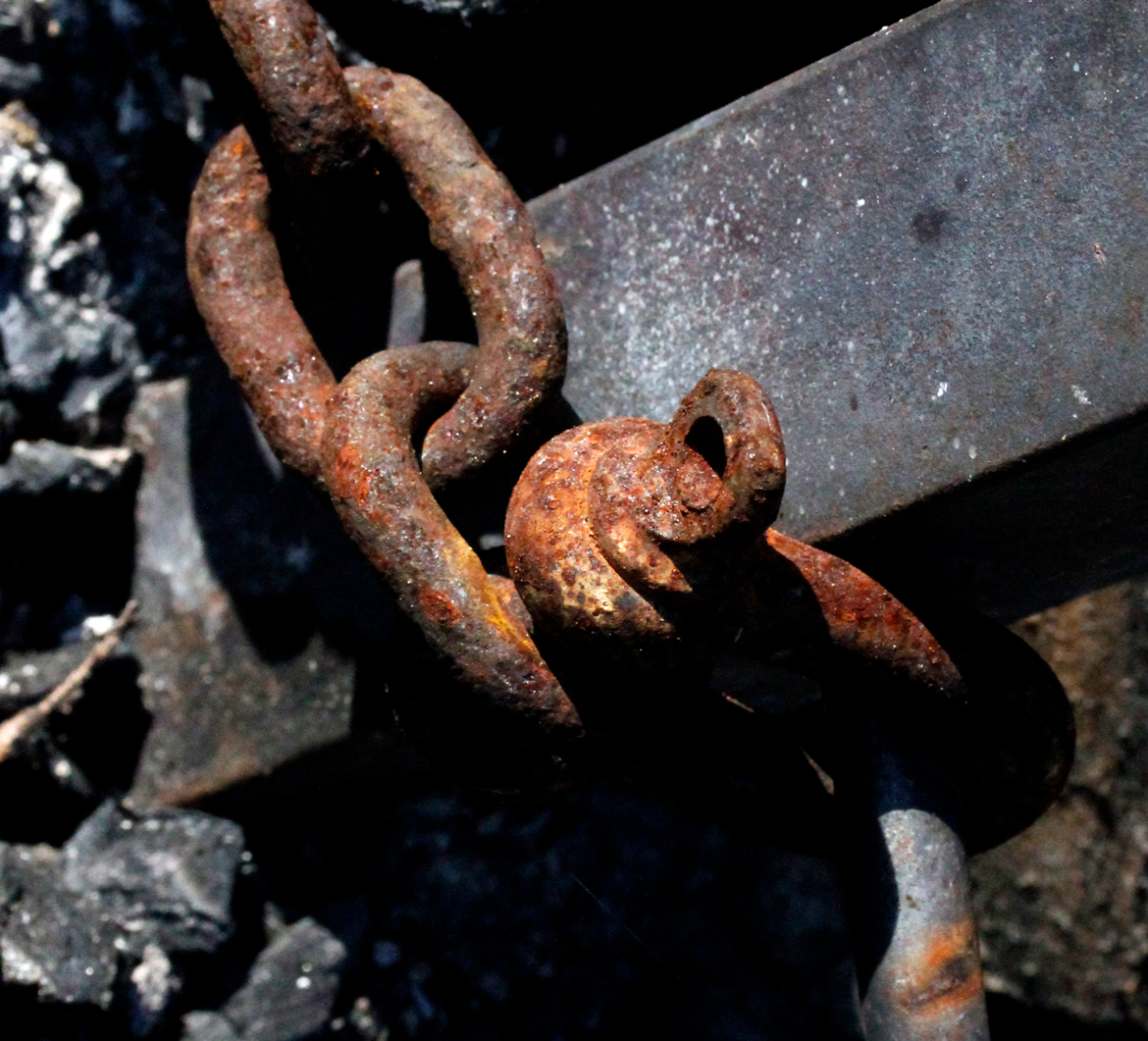 anchored in ashes
