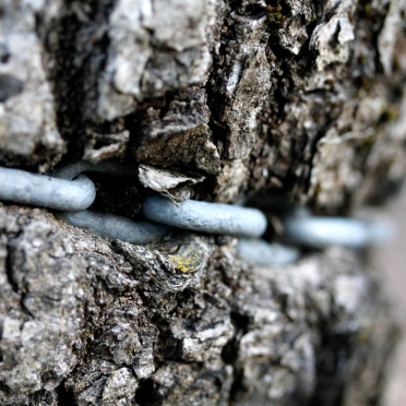 chain