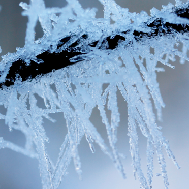ice crystals