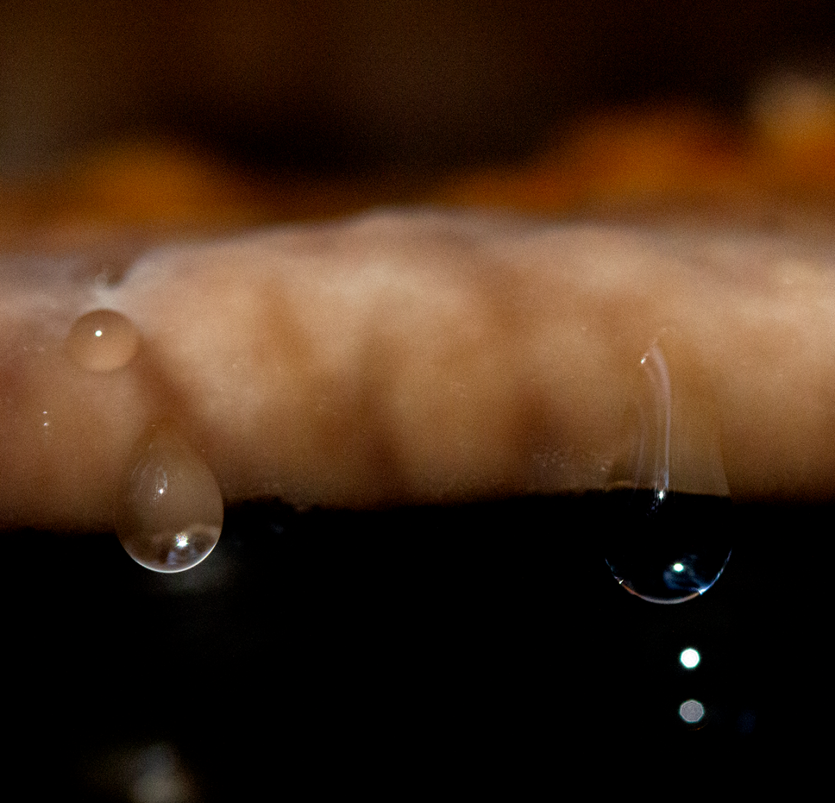 _MG_1687bW