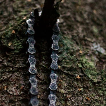 bicycle chain