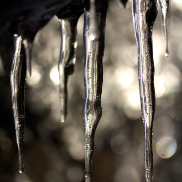 icicles