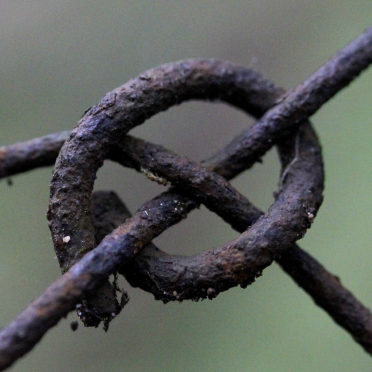 fence