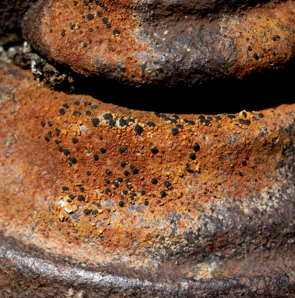 stove