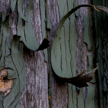 your cold war camouflage paint is peeling…