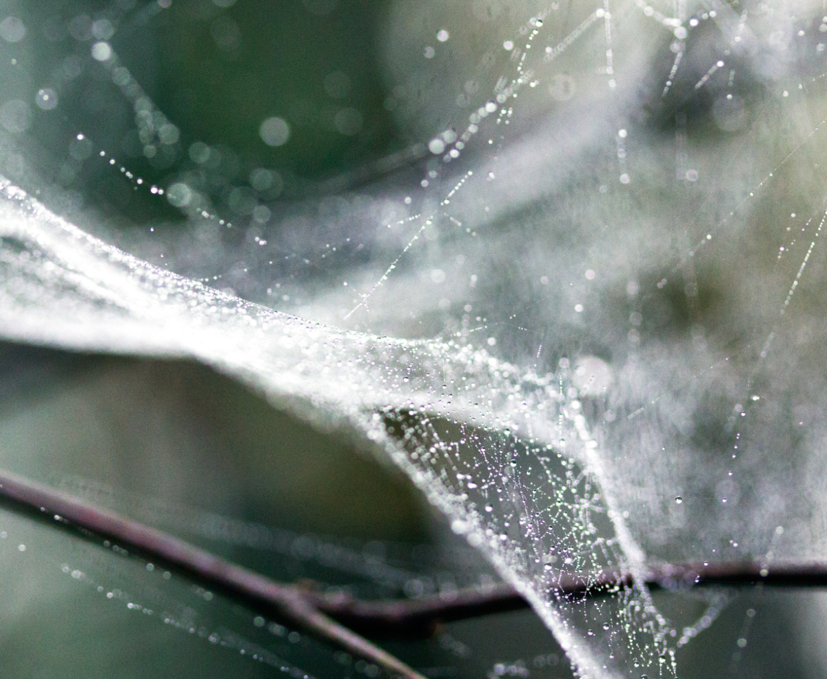 spindrift