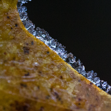on the icy edge