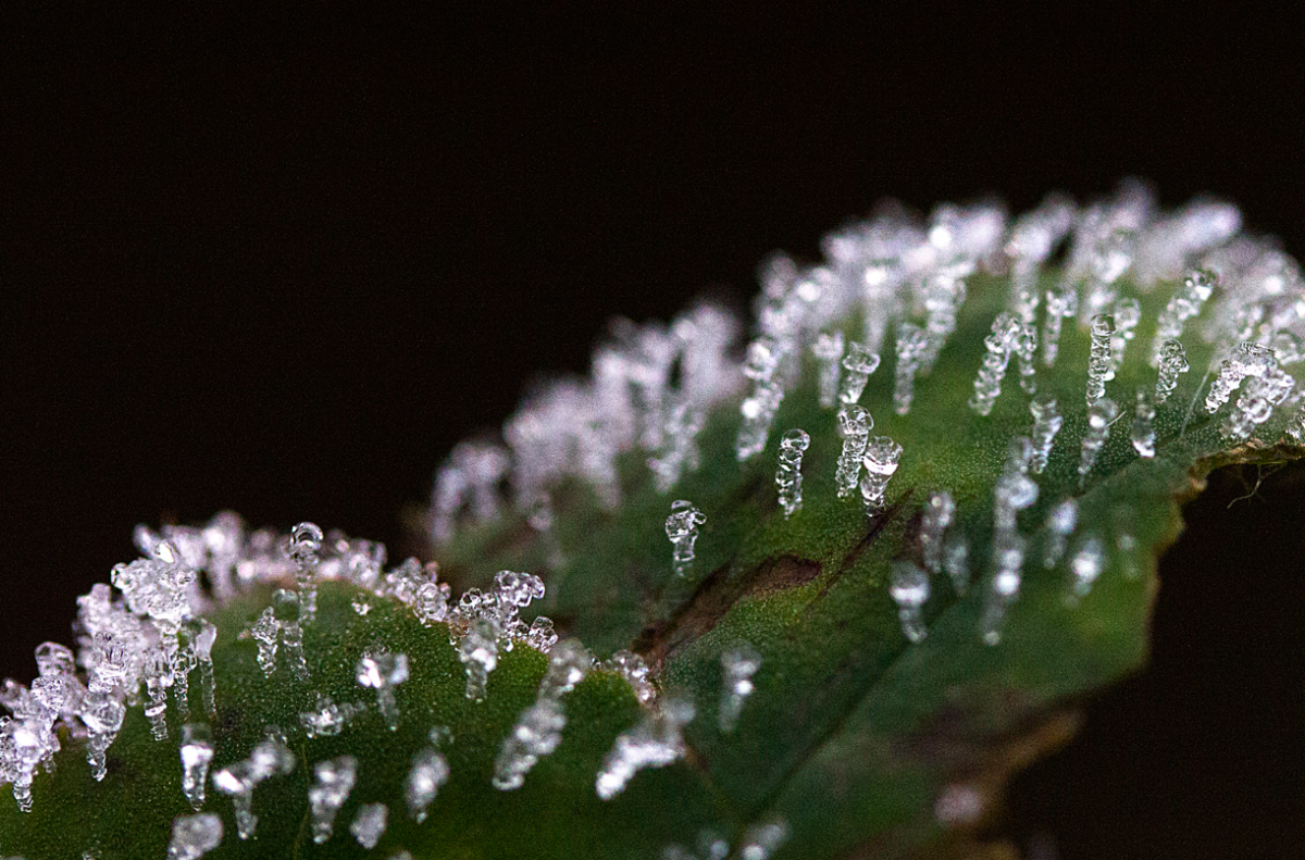 crystalline