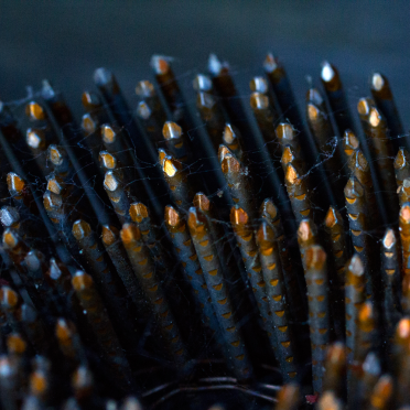 nailgun nails