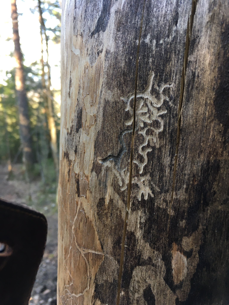 written
