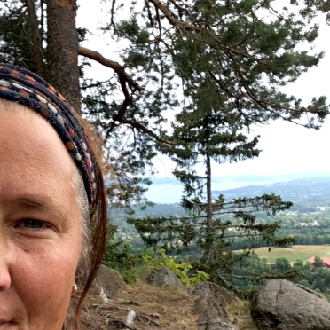 Skaugumsåsen