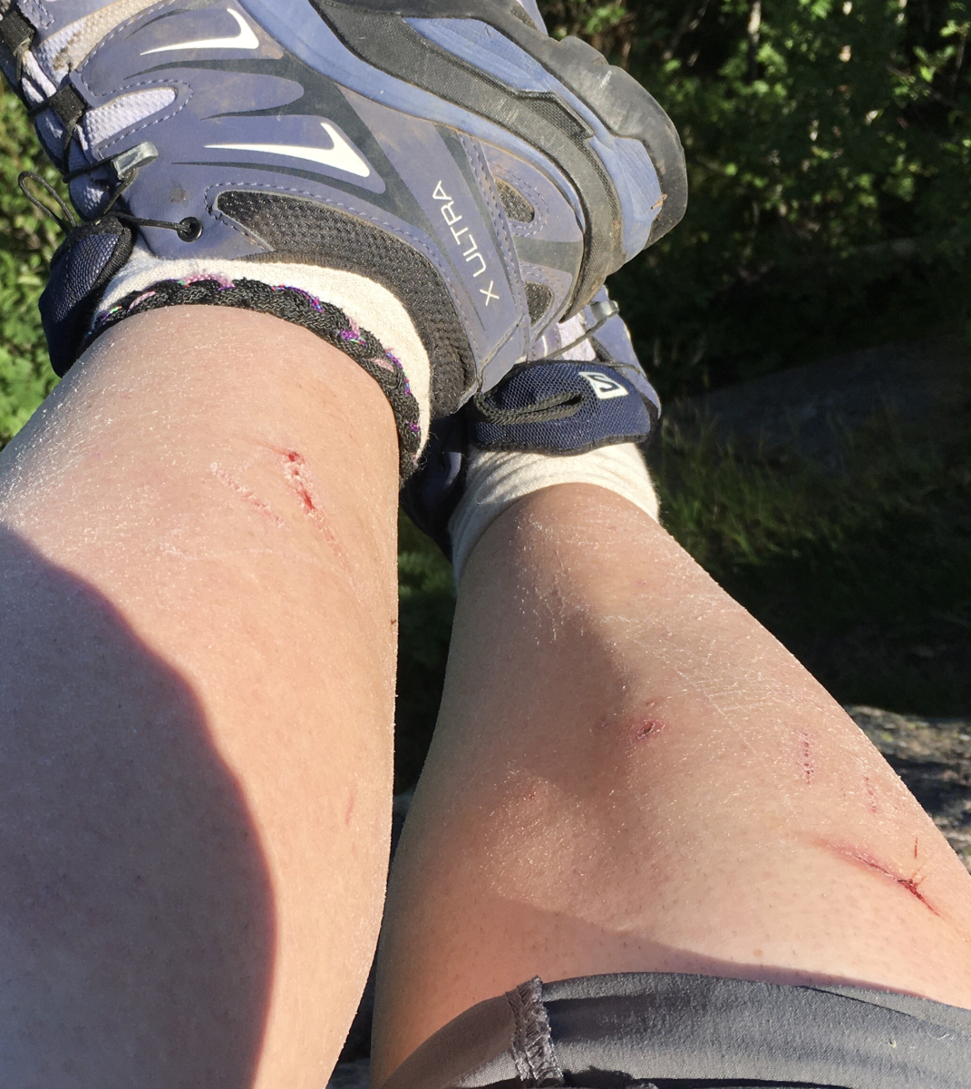 norwegian summer