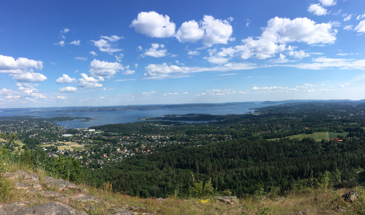 skaugumsåsen