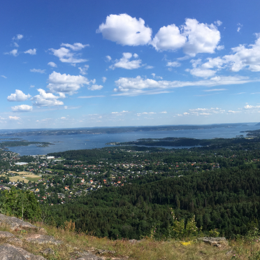 skaugumsåsen