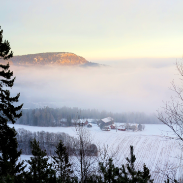 kolsås
