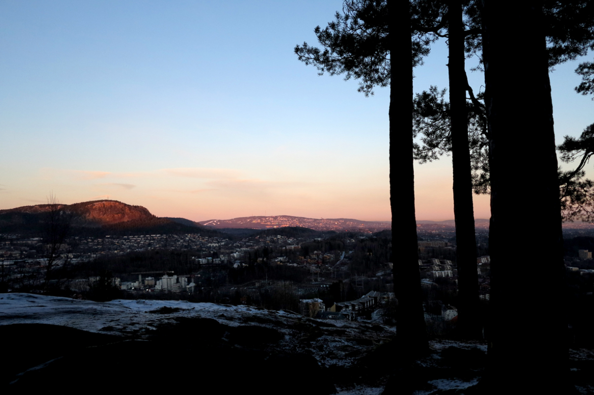 kolsås