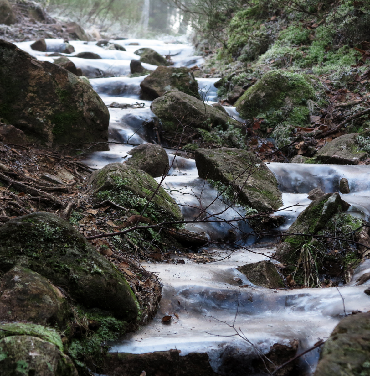 icy path flow