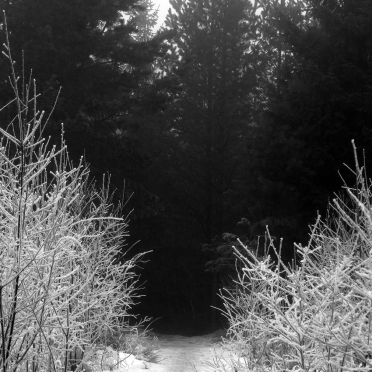 into the dark