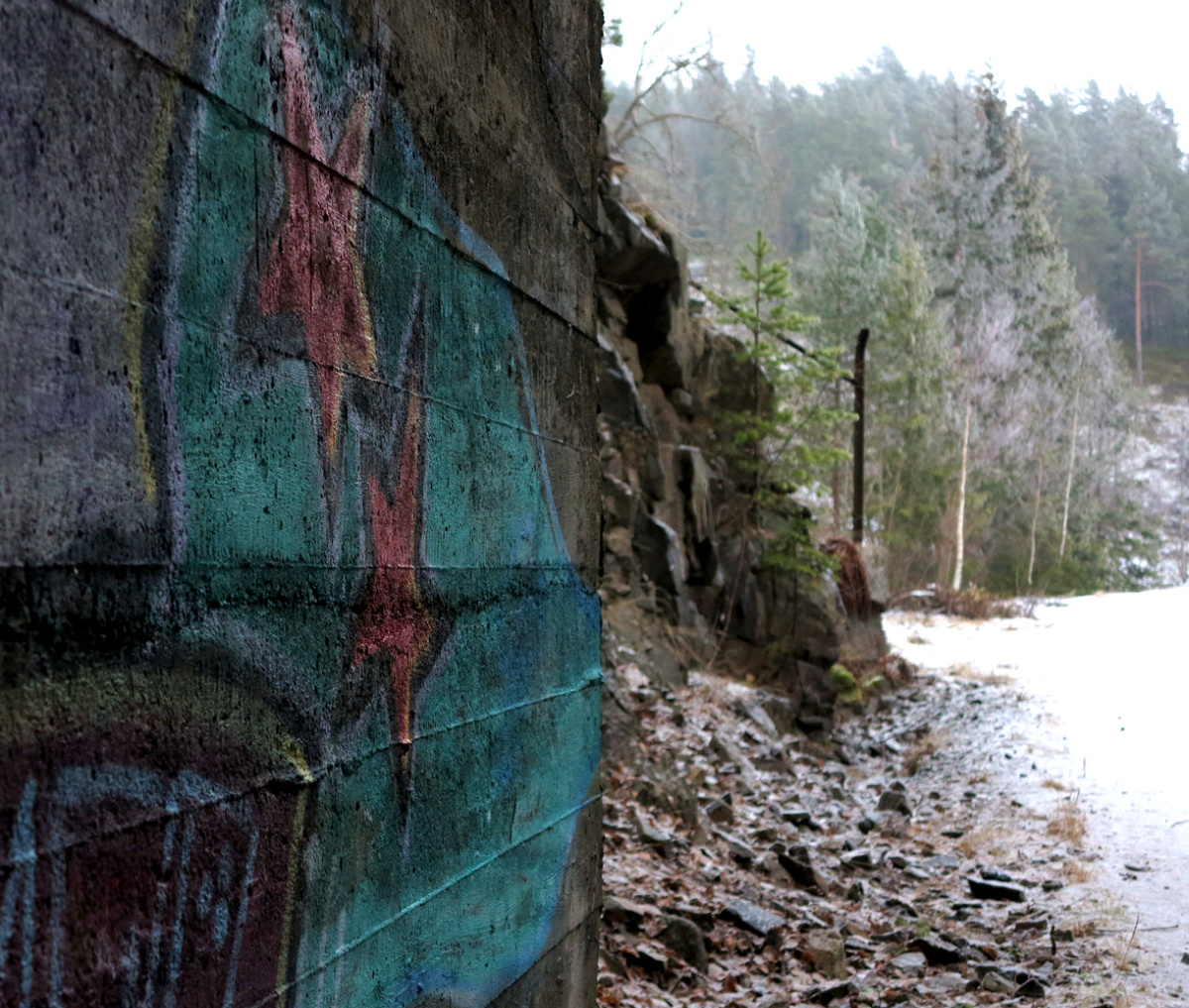 grafitti in the forest