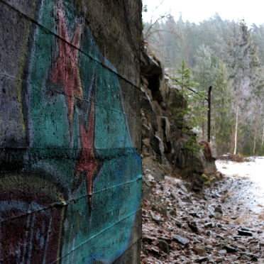 grafitti in the forest
