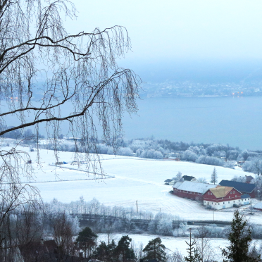 winter fog